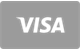 betarino-pl_Visa-card-flat